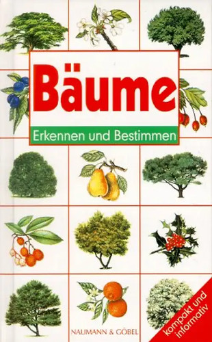 Bäume