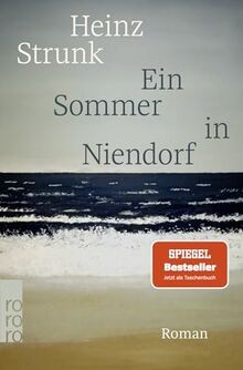 Ein sommer niendorf roman - sommer,