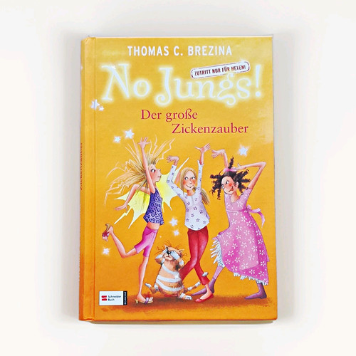 Schneider buch jungs der - no, jungs!: