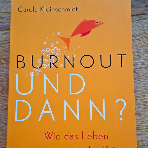 Carola kleinschmidt burnout - carola,